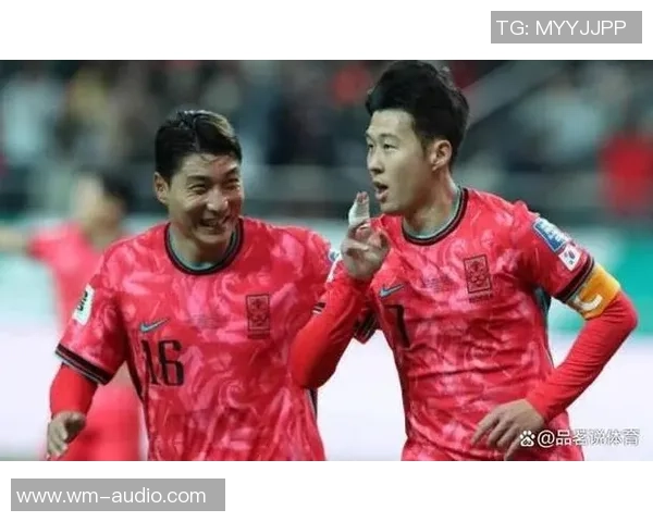 深圳排球队逆袭之路揭秘世界杯背后的奋斗与荣耀